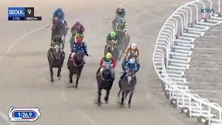 (Seoul) 2026.01.10 R9 Class 4 (1800M) Handicap