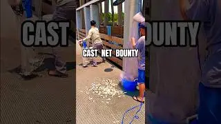 CAST NET BOUNTY #fishingvideo #castnetfishing #castnetfish #shrimping #fishing #baitfishing #shrimp