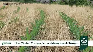 How Mindset Changes Become Management Changes