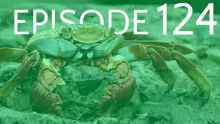 Episode 124 - Malacostraca III - Brachyura - The Crabs