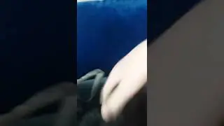 обзор на мою собаку ЧЕЕЕЕЕК #квасик #обзор #на #собаку