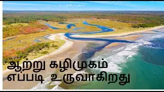 ஆற்று கழிமுகம் | How Estuary are formed?