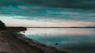 Flavio Sala (Guitar) - Are You Lonesome Tonight?