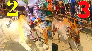 vellore chotta Bheem junior 8:87sec ⚡kaniyambadi Thalapathy 8:89sec 2/2/2024 kamasamuthiram street