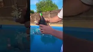 Insulated Stubby Holder With Bottle Opener! Keeps Bottles And Cans Cold Up To 5 Times Longer