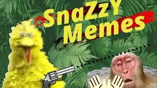 Snazzy memes to make you laugh 😂