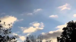 trap lapse