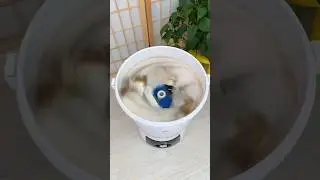 Mini portable washing machine #shorts #washingmachine #gadgets #products