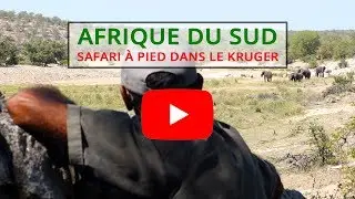 Safari à pied dans le Kruger