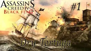 Assassin's Creed Black Flag | Naval Fort - Dry Tortuga | No Commentary