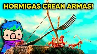 HORMIGAS INTELIGENTES ENTRAN EN GUERRA!  / Carlos Infinito REACCIONA a Enchula tu mente