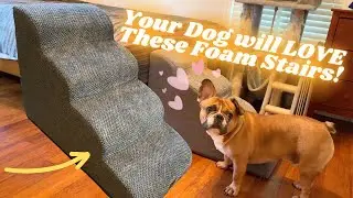 EHEYCIGA Curved Dog Stairs Ramp for High Beds - Want Healthy Dog Joints? Watch This Now!