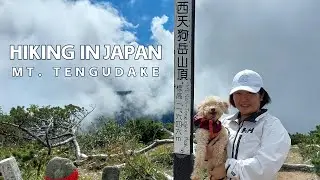 Hiking Mt. East and West Tengudake  in JAPAN - Nagano Prefecture