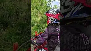 Trail - Doro The Explorer