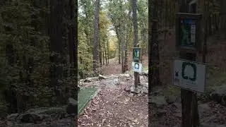 Connecticut disc golf! #discgolf #discraft #frisbeegolf #throw  #flyingdisc