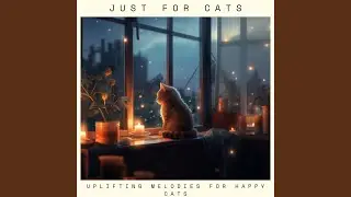Kitten's Midnight Sonata: Tranquility's Echo