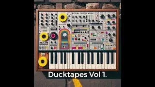 Ducktapes Vol 1.
