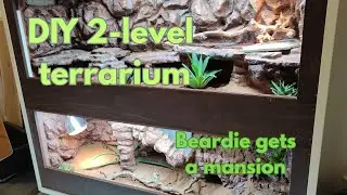 DIY 2-level terrarium for a bearded dragon