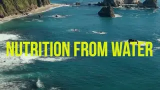 Nutrition From Water (NXW) - IndieBio SF Demo Day 15