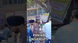 Panjab University Chandigarh #shortsfeed #panjabuniversity #panjabuniversitygyaan