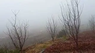 Bizim tarladan sonra yandaki set yapılan tarlaları da analiz ettim 😀 