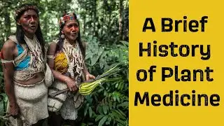 Brief History of Plant Medicine