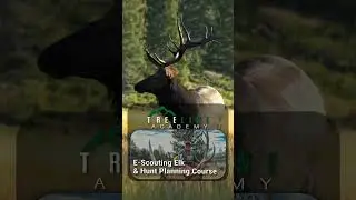 Ok, let's talk about boots on the ground elk scouting.