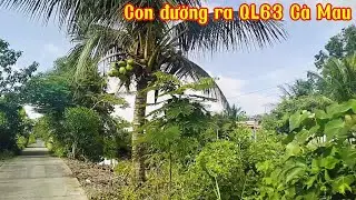 #68 Đền thờ Phan Tộc tỉnh Cà Mau, con đường ra QL63 Cà Mau • Hương Nguyễn 1622 