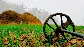 Я нашел Курган с моим металлоискателем!