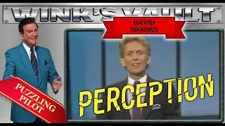 Perception Pilot|David Sparks