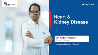 Understanding the Link Between Heart and Kidney Disease