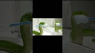 #FunnySnake 🐍#SnakeCartoon#AnimalCartoon#SnakeFunnyVideo#YouTubeShorts#CartoonReels#AIShorts!!