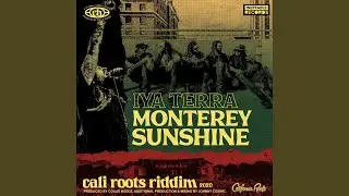 Monterey Sunshine