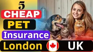 Top 5 Cheapest Pet Insurance in London UK 2025 | Best Budget Plans for Dogs & Cats