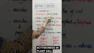 &ldquo;Cytokinesis in Plant Cell | Class 12 Biology | Samina Ch Tutorial&rdquo;