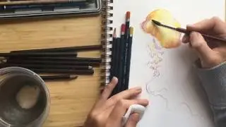 How to use Watercolour Pencils