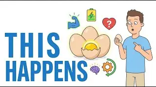 How Your Body Changes When You Eat 3&ndash;4 Eggs a Day