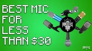 What's The Best Mic Under $30?