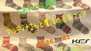 2026年1月21日催事　Opal毛糸　購入品紹介
