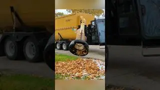 Leaf Solutions ##❗️❗️