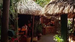 Caf&eacute; Ole