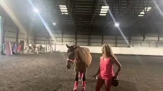 Husbandry spray wound on face
