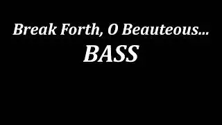 Break Forth  BASS