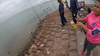 Another day at Gaymens Bridge