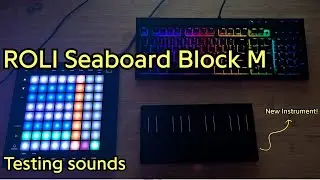 Music Experimentation