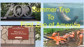 Visit to first zoo of USA 🇺🇸 || summer trip Vlogs