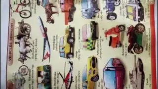Transportation Rules and Important Suggestions