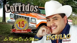 El Tigrillo Palma - Puros Corridos Pesados Mix - Los 20 Mejores Corridos y Canciones