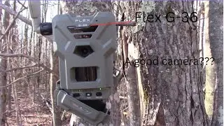 Spypoint Flex G 36 Review (Unboxing & Setup)