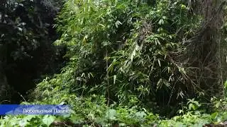 На Бали туристы здесь не ходят. Tourists do not go to Bali in such places